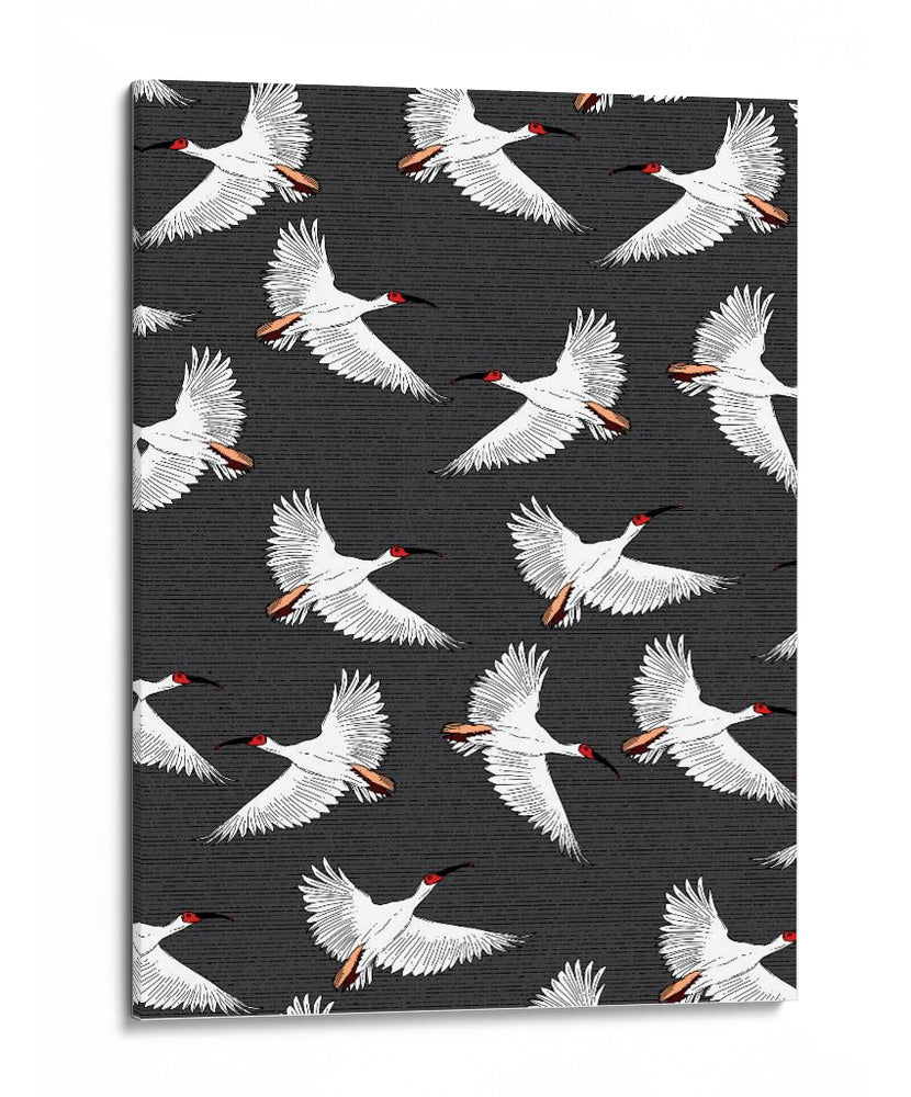 Patrón de Ibis Crestado - Nicholas | Cuadro decorativo de Canvas Lab