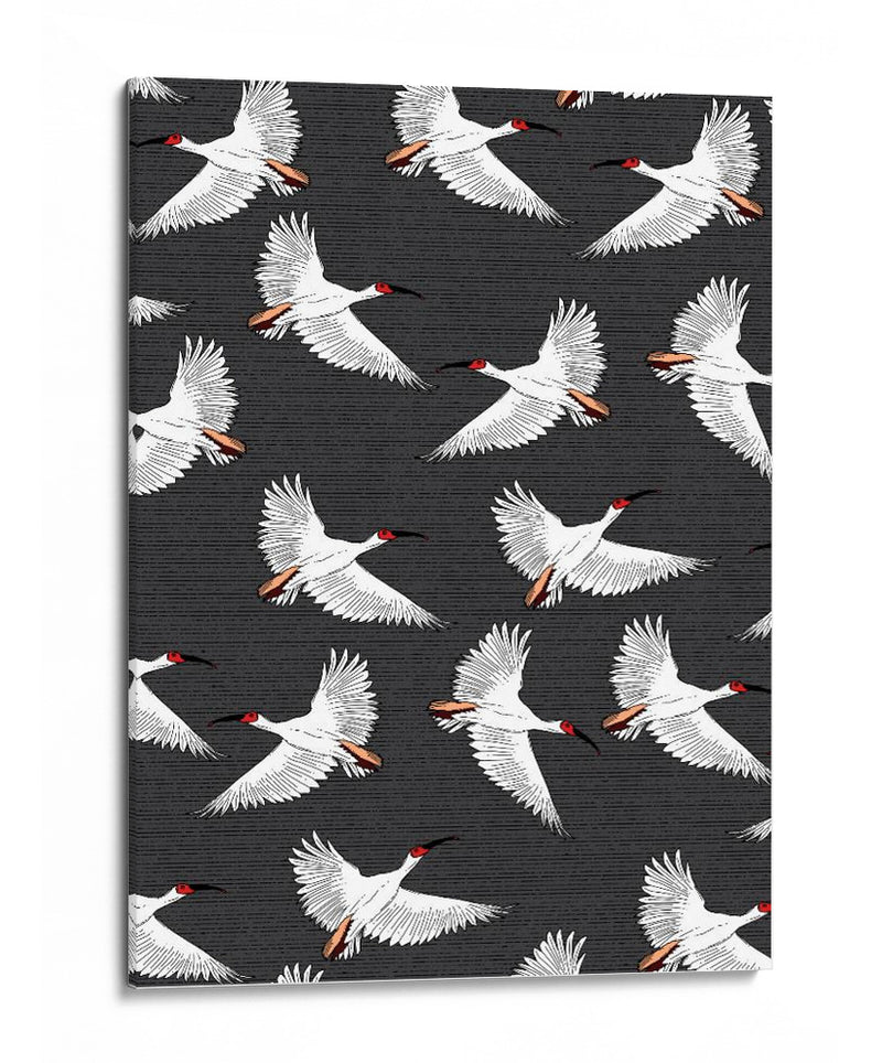 Patrón de Ibis Crestado - Nicholas | Cuadro decorativo de Canvas Lab