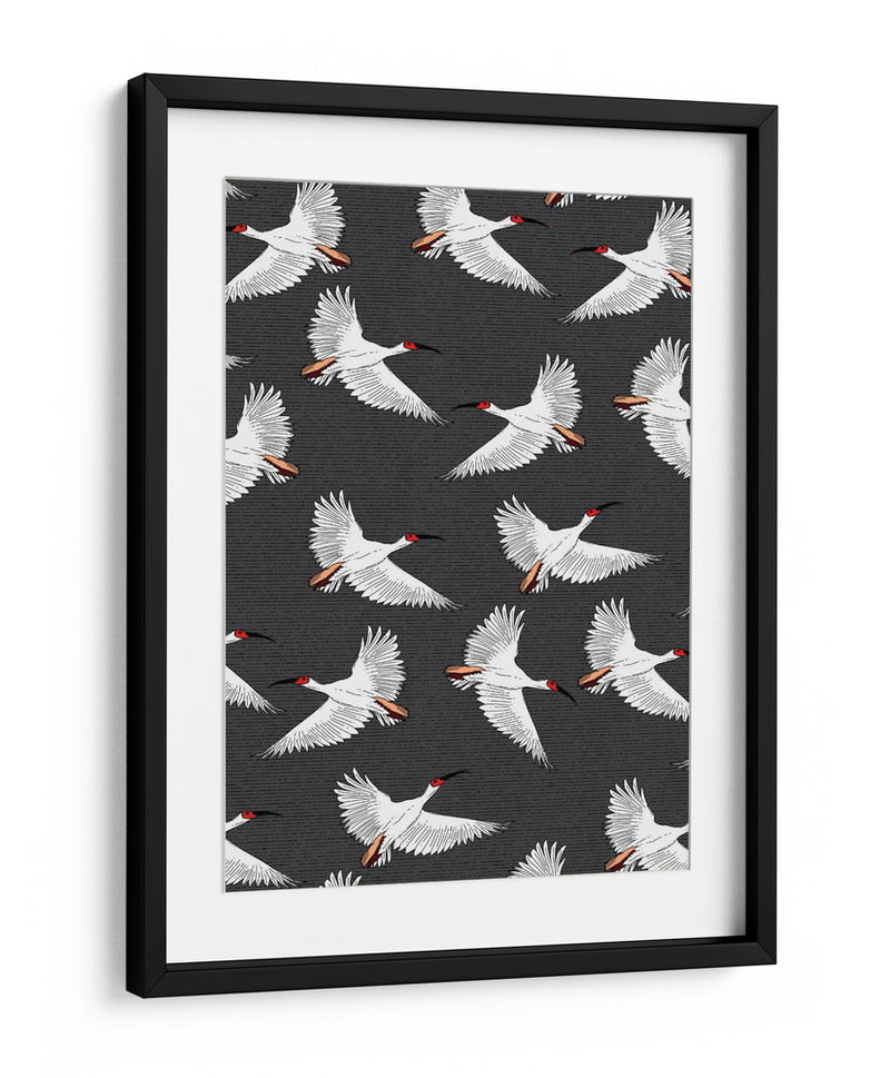 Patrón de Ibis Crestado - Nicholas | Cuadro decorativo de Canvas Lab