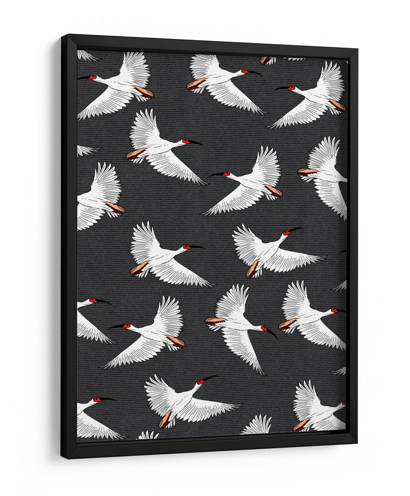 Patrón de Ibis Crestado - Nicholas | Cuadro decorativo de Canvas Lab