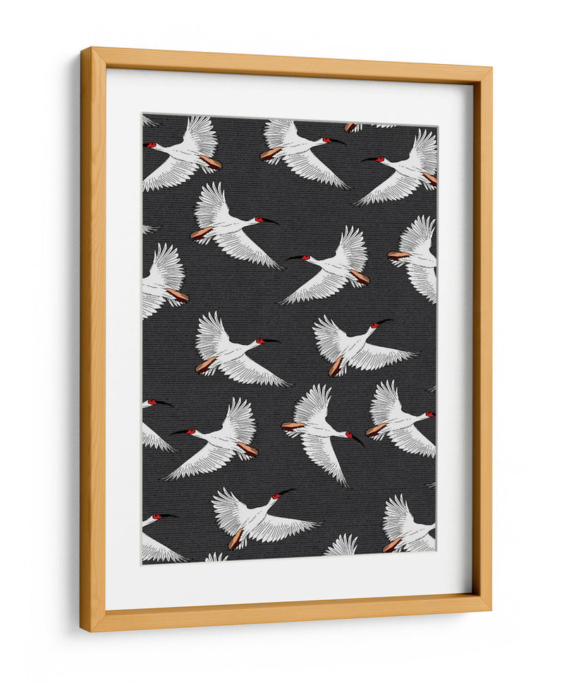 Patrón de Ibis Crestado - Nicholas | Cuadro decorativo de Canvas Lab