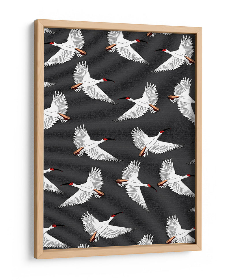 Patrón de Ibis Crestado - Nicholas | Cuadro decorativo de Canvas Lab