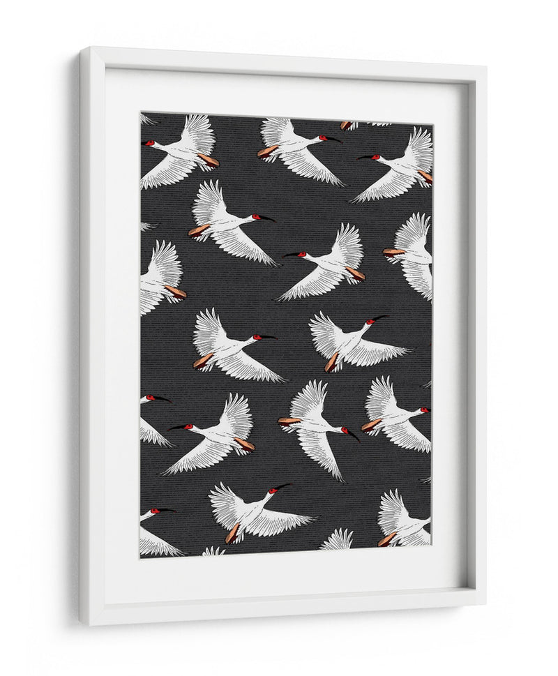 Patrón de Ibis Crestado - Nicholas | Cuadro decorativo de Canvas Lab