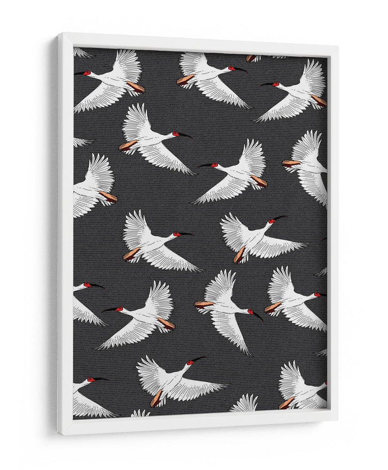 Patrón de Ibis Crestado - Nicholas | Cuadro decorativo de Canvas Lab