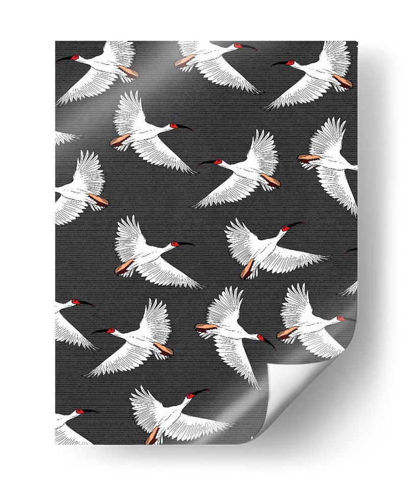 Patrón de Ibis Crestado - Nicholas | Cuadro decorativo de Canvas Lab