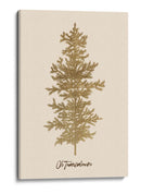 Oh Tannenbaum (oro) - Kubistika | Cuadro decorativo de Canvas Lab