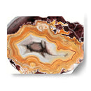 Estudios De Ágata Iii - Naomi McCavitt | Cuadro decorativo de Canvas Lab