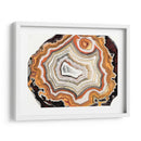 Estudios De Ágata Iv - Naomi McCavitt | Cuadro decorativo de Canvas Lab