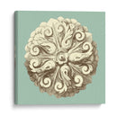 Celadon Y Mocha Rosette Ii - Vision Studio | Cuadro decorativo de Canvas Lab