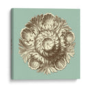 Celadon Y Mocha Rosette Iii - Vision Studio | Cuadro decorativo de Canvas Lab