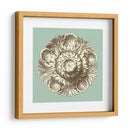 Celadon Y Mocha Rosette Iii - Vision Studio | Cuadro decorativo de Canvas Lab