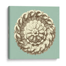 Celadon Y Mocha Rosette Iv - Vision Studio | Cuadro decorativo de Canvas Lab