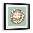 Celadon Y Mocha Rosette Iv - Vision Studio | Cuadro decorativo de Canvas Lab