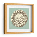 Celadon Y Mocha Rosette Iv - Vision Studio | Cuadro decorativo de Canvas Lab