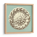 Celadon Y Mocha Rosette Iv - Vision Studio | Cuadro decorativo de Canvas Lab