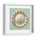 Celadon Y Mocha Rosette Iv - Vision Studio | Cuadro decorativo de Canvas Lab