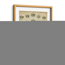 Coronas Heráldicas Y Coronets V - Milton Coppo | Cuadro decorativo de Canvas Lab