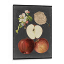 Cosecha De Medianoche I - Vision Studio | Cuadro decorativo de Canvas Lab