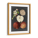 Cosecha De Medianoche I - Vision Studio | Cuadro decorativo de Canvas Lab