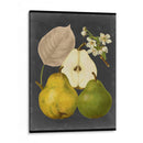 Cosecha De Medianoche Iii - Vision Studio | Cuadro decorativo de Canvas Lab