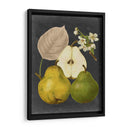 Cosecha De Medianoche Iii - Vision Studio | Cuadro decorativo de Canvas Lab