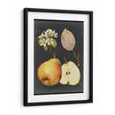 Cosecha De Medianoche Iv - Vision Studio | Cuadro decorativo de Canvas Lab