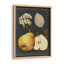 Cosecha De Medianoche Iv - Vision Studio | Cuadro decorativo de Canvas Lab