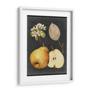 Cosecha De Medianoche Iv - Vision Studio | Cuadro decorativo de Canvas Lab