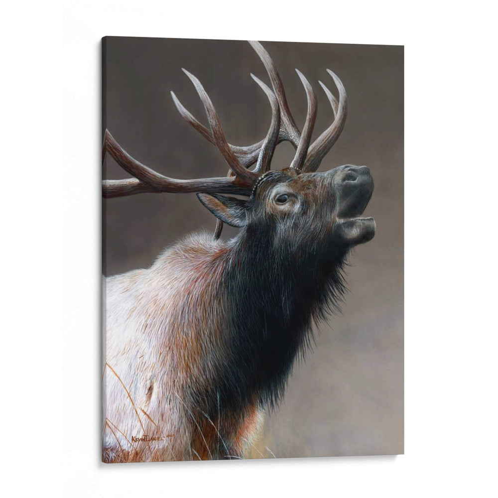 Icono Americano - Alces - Kevin Daniel | Cuadro decorativo de Canvas Lab