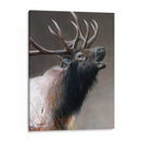 Icono Americano - Alces - Kevin Daniel | Cuadro decorativo de Canvas Lab