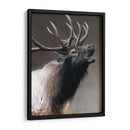 Icono Americano - Alces - Kevin Daniel | Cuadro decorativo de Canvas Lab