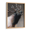 Icono Americano - Alces - Kevin Daniel | Cuadro decorativo de Canvas Lab