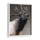 Icono Americano - Alces - Kevin Daniel | Cuadro decorativo de Canvas Lab