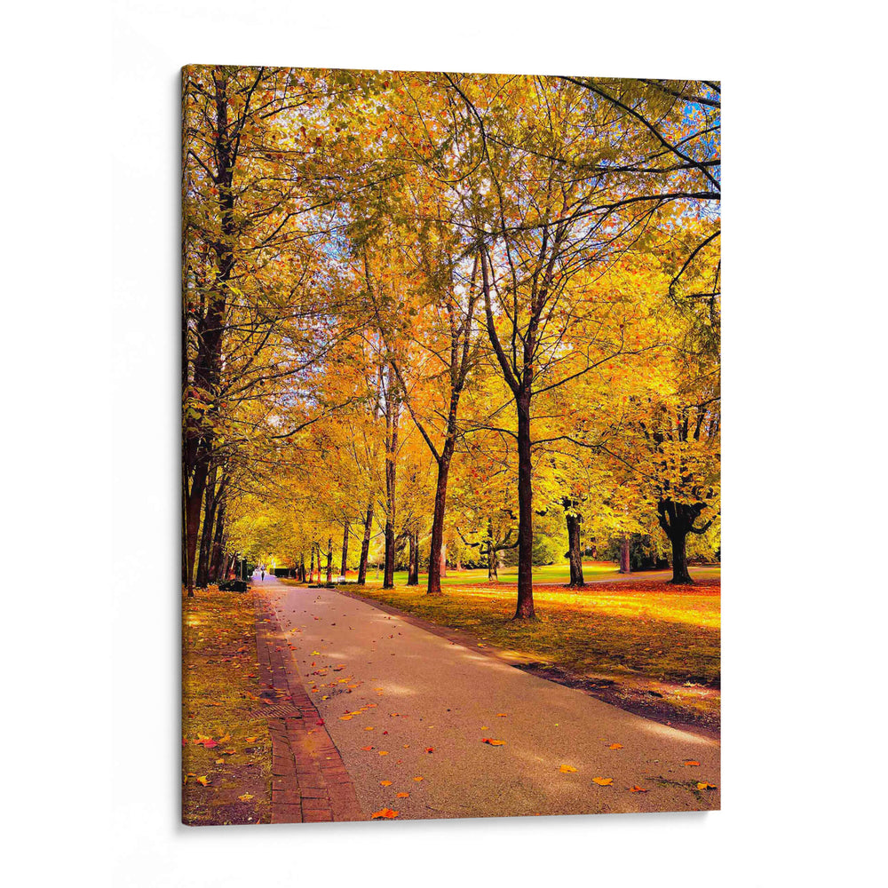 Otoño en Vancouver  - E Ordóñez | Cuadro decorativo de Canvas Lab