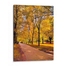 Otoño en Vancouver  - E Ordóñez | Cuadro decorativo de Canvas Lab