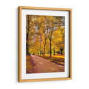 Otoño en Vancouver  - E Ordóñez | Cuadro decorativo de Canvas Lab