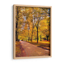 Otoño en Vancouver  - E Ordóñez | Cuadro decorativo de Canvas Lab