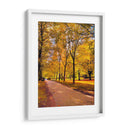 Otoño en Vancouver  - E Ordóñez | Cuadro decorativo de Canvas Lab