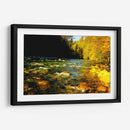 Lynn Canyon Park - E Ordóñez | Cuadro decorativo de Canvas Lab