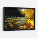 Lynn Canyon Park - E Ordóñez | Cuadro decorativo de Canvas Lab