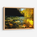 Lynn Canyon Park - E Ordóñez | Cuadro decorativo de Canvas Lab