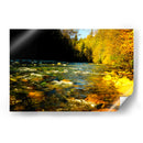 Lynn Canyon Park - E Ordóñez | Cuadro decorativo de Canvas Lab