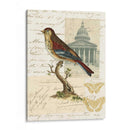 Naturalistas Collage I - Vision Studio | Cuadro decorativo de Canvas Lab