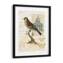 Naturalistas Collage I - Vision Studio | Cuadro decorativo de Canvas Lab