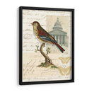 Naturalistas Collage I - Vision Studio | Cuadro decorativo de Canvas Lab