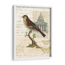 Naturalistas Collage I - Vision Studio | Cuadro decorativo de Canvas Lab