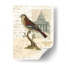 Naturalistas Collage I - Vision Studio | Cuadro decorativo de Canvas Lab