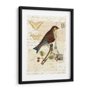 Collage De Naturalistas Ii - Vision Studio | Cuadro decorativo de Canvas Lab