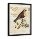 Collage De Naturalistas Ii - Vision Studio | Cuadro decorativo de Canvas Lab