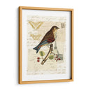 Collage De Naturalistas Ii - Vision Studio | Cuadro decorativo de Canvas Lab